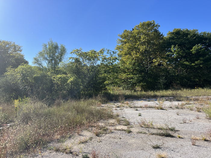 Snow Flake Motel - Sept 4 2024 (newer photo)